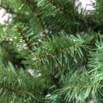 productHero-SPOTWF-BP80662955-green-2