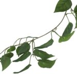 productHero-SPOTWF-BP80664528-green-3