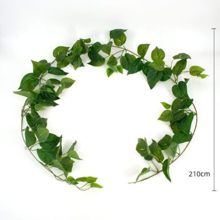 productHero-SPOTWF-BP80664528-green