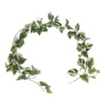 productHero-SPOTWF-BP80664529-green