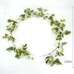 productHero-SPOTWF-BP80664529-green-2