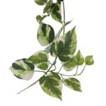 productHero-SPOTWF-BP80664529-green-3