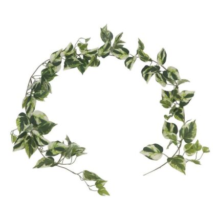 productHero-SPOTWF-BP80664529-green