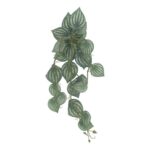 productHero-SPOTWF-BP80664533-green