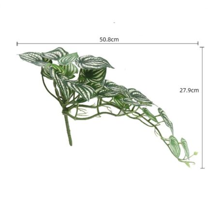 productHero-SPOTWF-BP80664533-green-2
