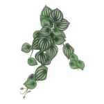 productHero-SPOTWF-BP80664533-green-5