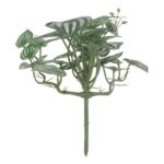 productHero-SPOTWF-BP80664533-green-6