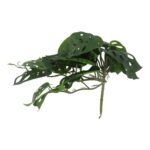 productHero-SPOTWF-BP80664535-green
