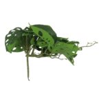 productHero-SPOTWF-BP80664535-green-2