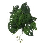 productHero-SPOTWF-BP80664535-green-3