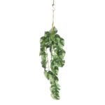 productHero-SPOTWF-BP80664536-green