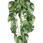 productHero-SPOTWF-BP80664536-green-2