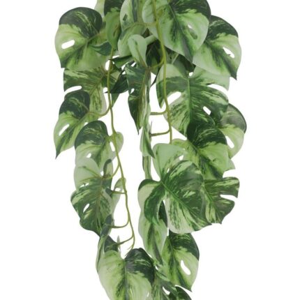 productHero-SPOTWF-BP80664536-green-2