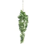 productHero-SPOTWF-BP80664536-green-4