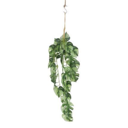 productHero-SPOTWF-BP80664536-green