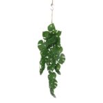 productHero-SPOTWF-BP80664537-green-3