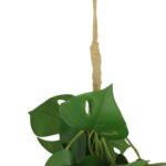 productHero-SPOTWF-BP80664537-green-5