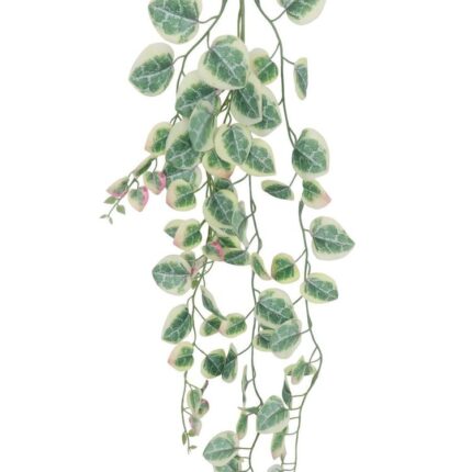 productHero-SPOTWF-BP80664539-green-2