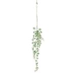 productHero-SPOTWF-BP80664539-green-3