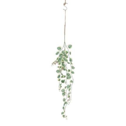 productHero-SPOTWF-BP80664539-green