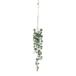 productHero-SPOTWF-BP80664540-green-3