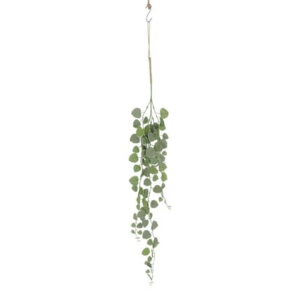 productHero-SPOTWF-BP80664540-green