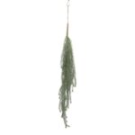 productHero-SPOTWF-BP80664543-green