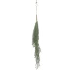 productHero-SPOTWF-BP80664543-green-3