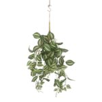 productHero-SPOTWF-BP80664544-green-3