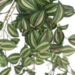 productHero-SPOTWF-BP80664544-green-4