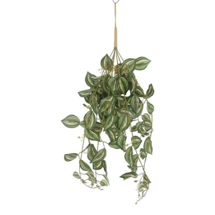 productHero-SPOTWF-BP80664544-green
