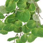 productHero-SPOTWF-BP80664545-green-2