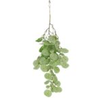 productHero-SPOTWF-BP80664545-green-3