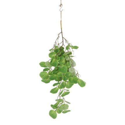 productHero-SPOTWF-BP80664545-green