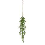 productHero-SPOTWF-BP80664546-green