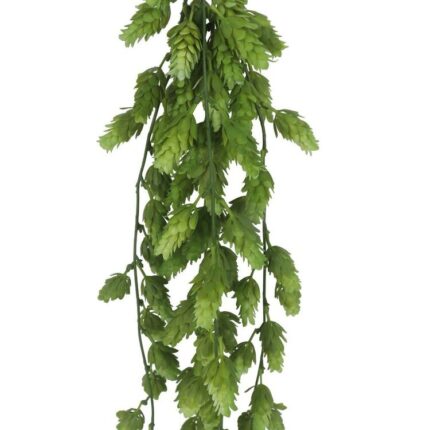 productHero-SPOTWF-BP80664546-green-2