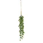 productHero-SPOTWF-BP80664546-green-3