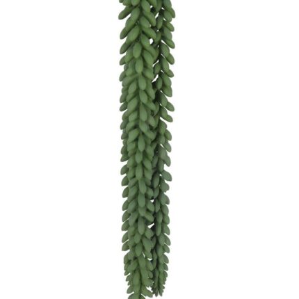 productHero-SPOTWF-BP80664548-green-2