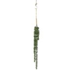 productHero-SPOTWF-BP80664549-green