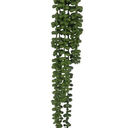 productHero-SPOTWF-BP80664549-green-2