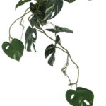 productHero-SPOTWF-BP80664552-green-2