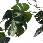 productHero-SPOTWF-BP80664552-green-3