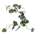 productHero-SPOTWF-BP80664552-green-4