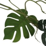 productHero-SPOTWF-BP80664552-green-5