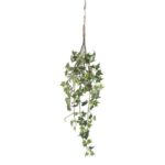 productHero-SPOTWF-BP80664567-green