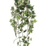 productHero-SPOTWF-BP80664567-green-2