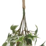 productHero-SPOTWF-BP80664567-green-3