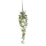 productHero-SPOTWF-BP80664567-green-4