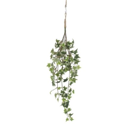 productHero-SPOTWF-BP80664567-green