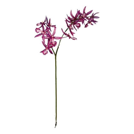 productHero-SPOTWF-BP80665006-purple